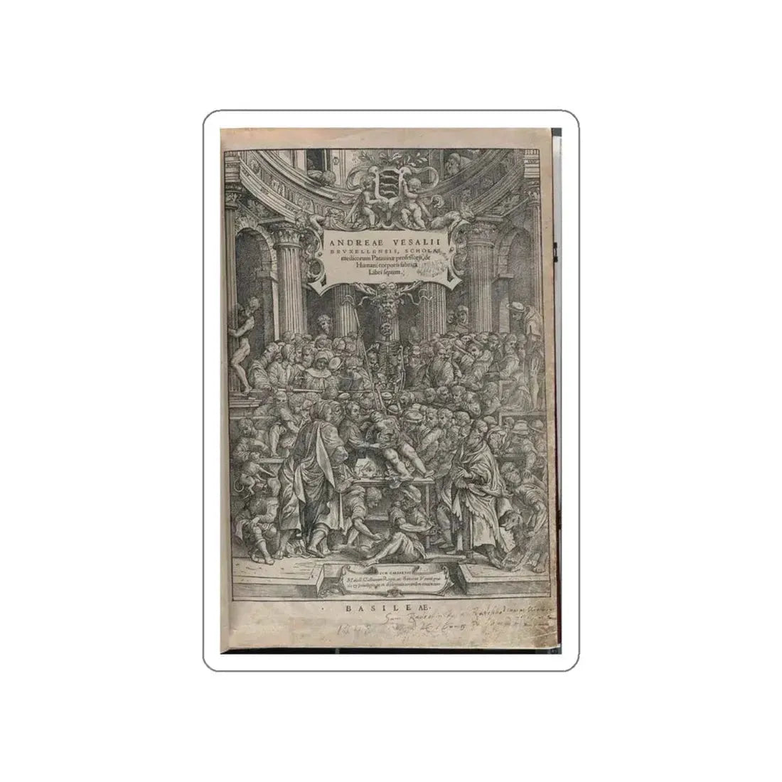 VESALIUS, Andreas - Title page (Artwork) STICKER Vinyl Die-Cut Decal - The Sticker Space