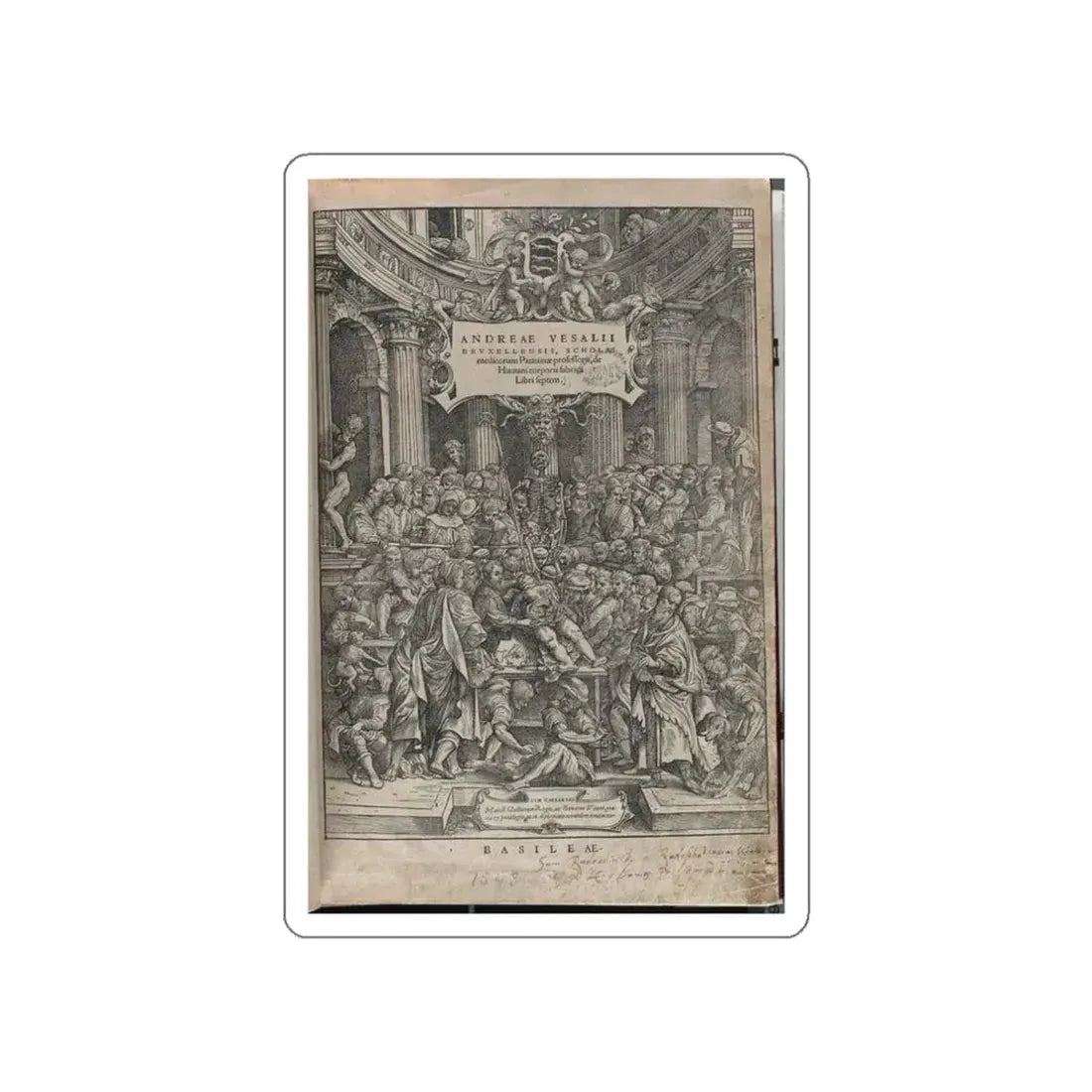 VESALIUS, Andreas - Title page (Artwork) STICKER Vinyl Die-Cut Decal White Die-Cut 3 Inch - The Sticker Space