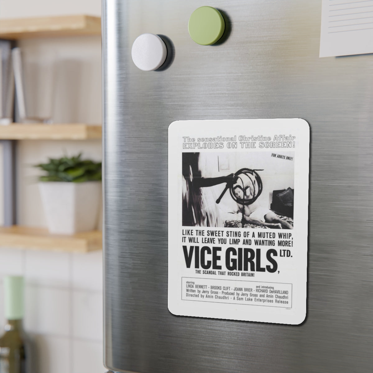 VICE GIRLS LTD 1964 Movie Poster - Refrigerator Magnet