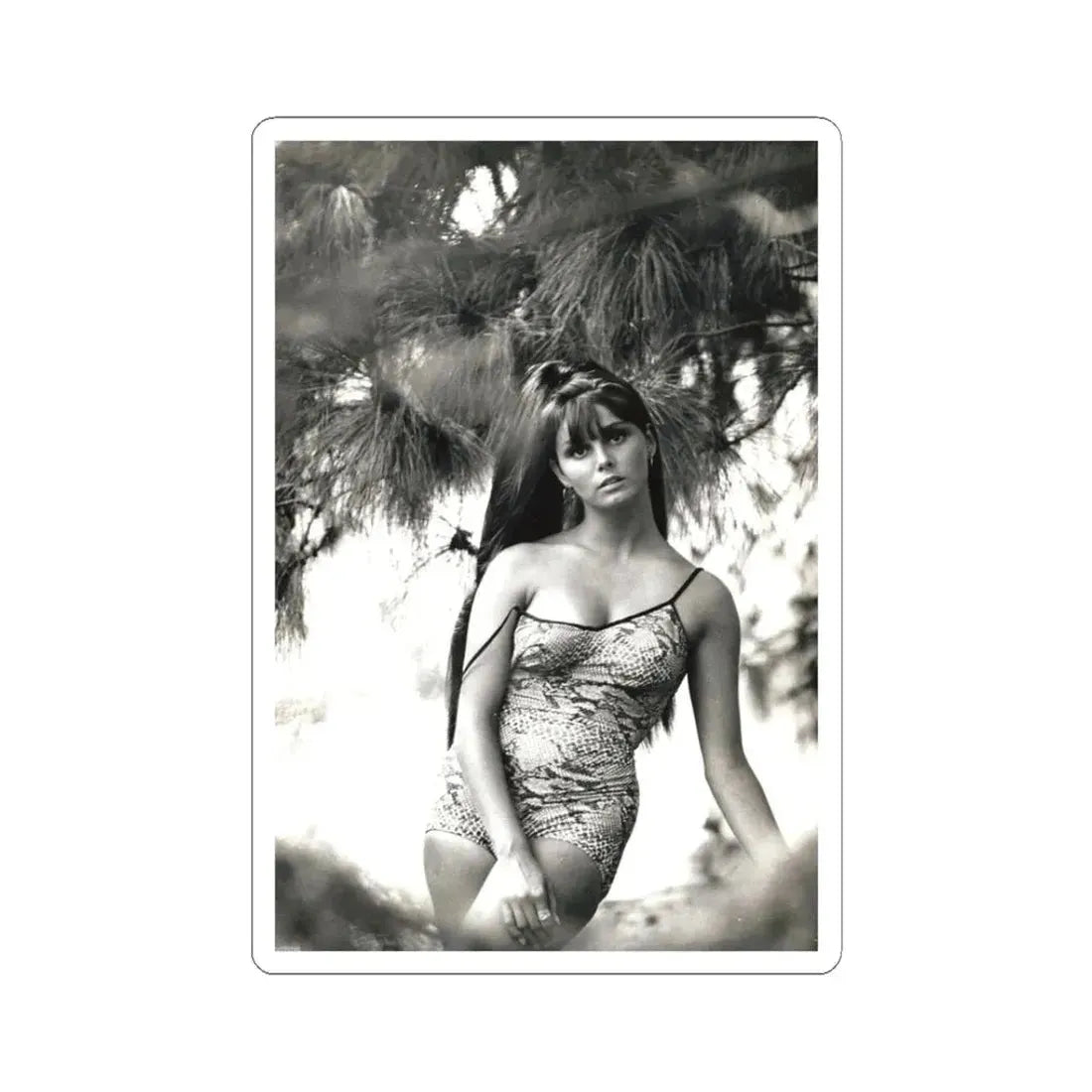 Victoria Vetri #145 (Vintage Female Icon) STICKER Vinyl Kiss-Cut Decal 3 Inch White - The Sticker Space