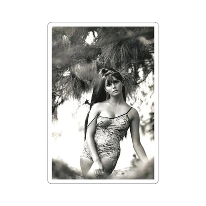 Victoria Vetri #145 (Vintage Female Icon) STICKER Vinyl Kiss-Cut Decal 6 Inch White - The Sticker Space