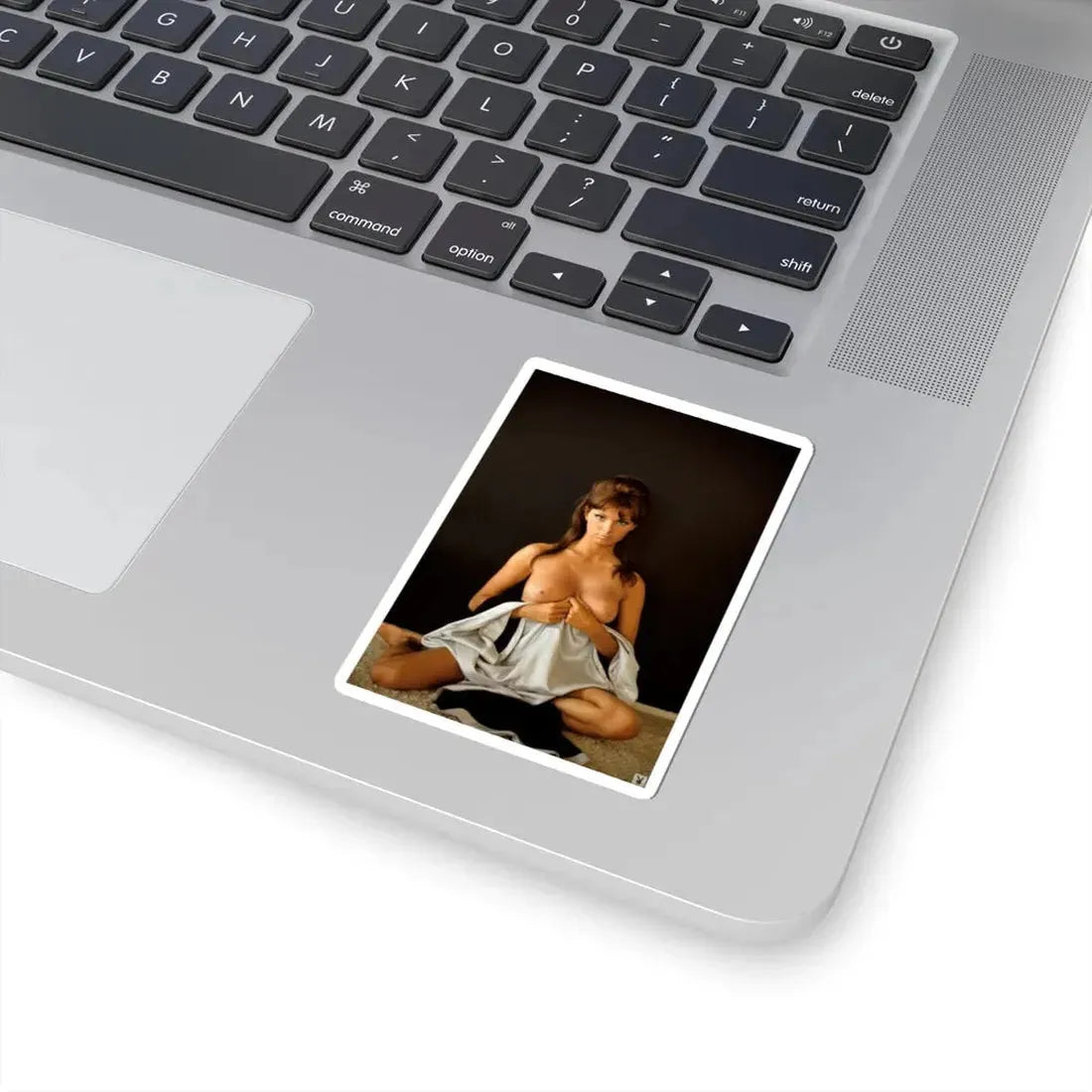 Victoria Vetri #149 (Vintage Female Icon) STICKER Vinyl Kiss-Cut Decal - The Sticker Space