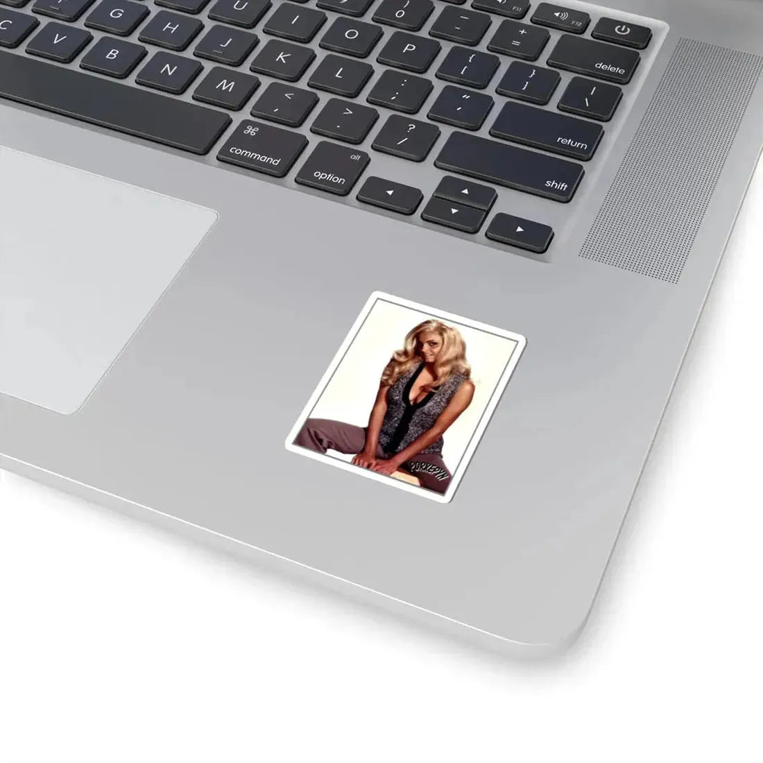 Victoria Vetri #29 (Vintage Female Icon) STICKER Vinyl Kiss-Cut Decal - The Sticker Space