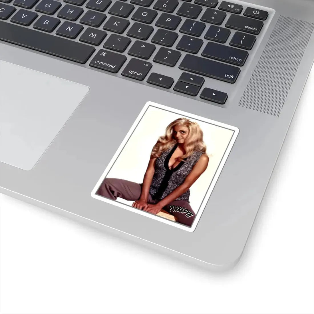 Victoria Vetri #29 (Vintage Female Icon) STICKER Vinyl Kiss-Cut Decal - The Sticker Space