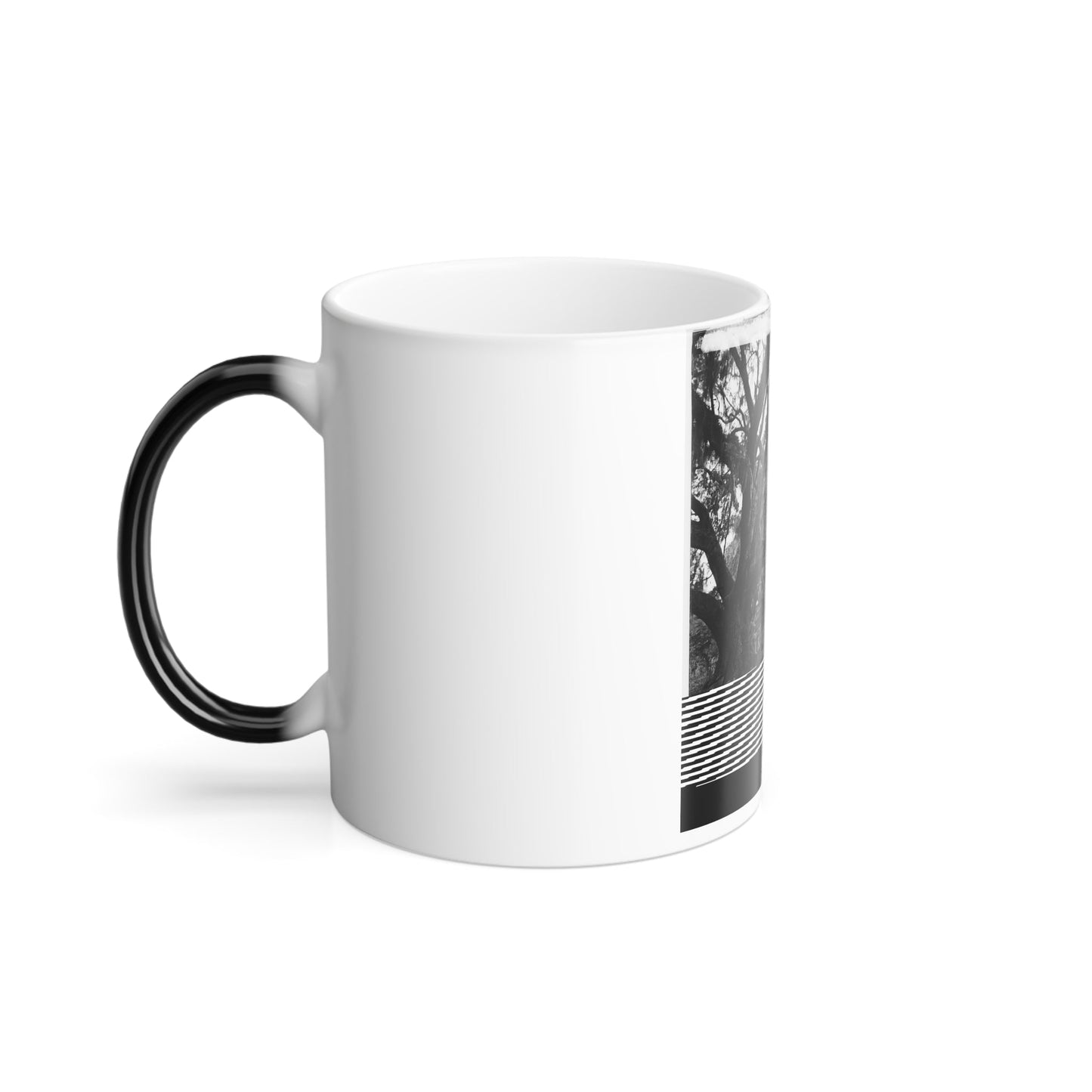 View in South Carolina (U.S. Civil War) Color Morphing Mug 11oz-11oz-The Sticker Space