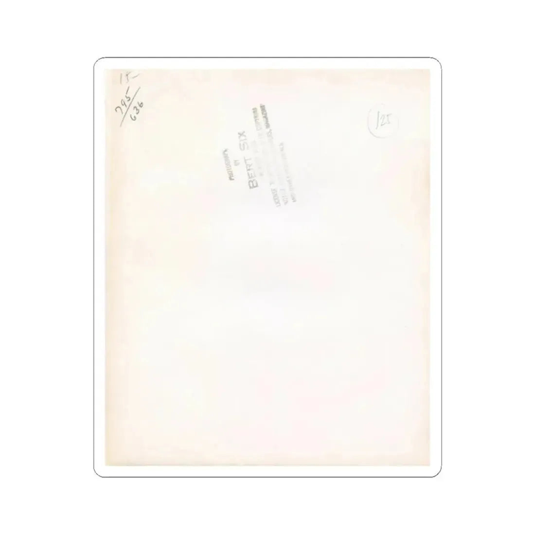 Virginia Mayo #288 (Vintage Female Icon) STICKER Vinyl Kiss-Cut Decal 2 Inch White - The Sticker Space