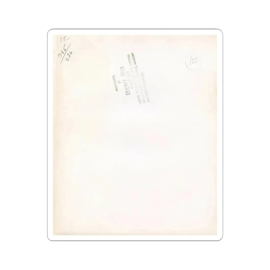 Virginia Mayo #288 (Vintage Female Icon) STICKER Vinyl Kiss-Cut Decal 3 Inch White - The Sticker Space