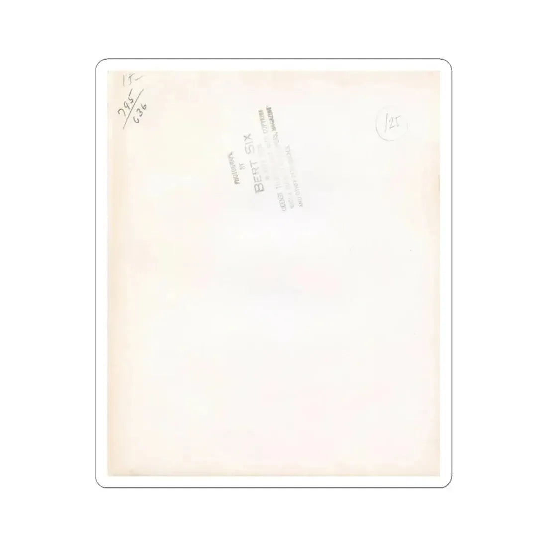 Virginia Mayo #288 (Vintage Female Icon) STICKER Vinyl Kiss-Cut Decal 6 Inch White - The Sticker Space