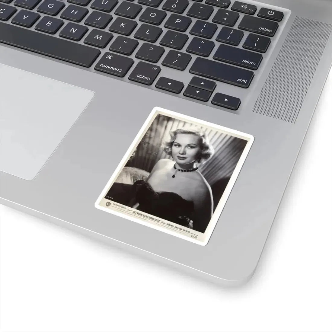 Virginia Mayo #291 - Vintage 8x10 B&W Upper Body Wasite to Head Glamour 1952 Movie Promo Photo (Vintage Female Icon) STICKER Vinyl Kiss-Cut Decal - The Sticker Space