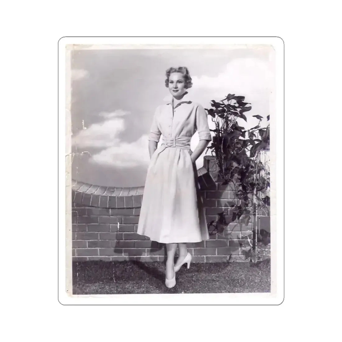 Virginia Mayo #66 (Vintage Female Icon) STICKER Vinyl Kiss-Cut Decal 6 Inch White - The Sticker Space