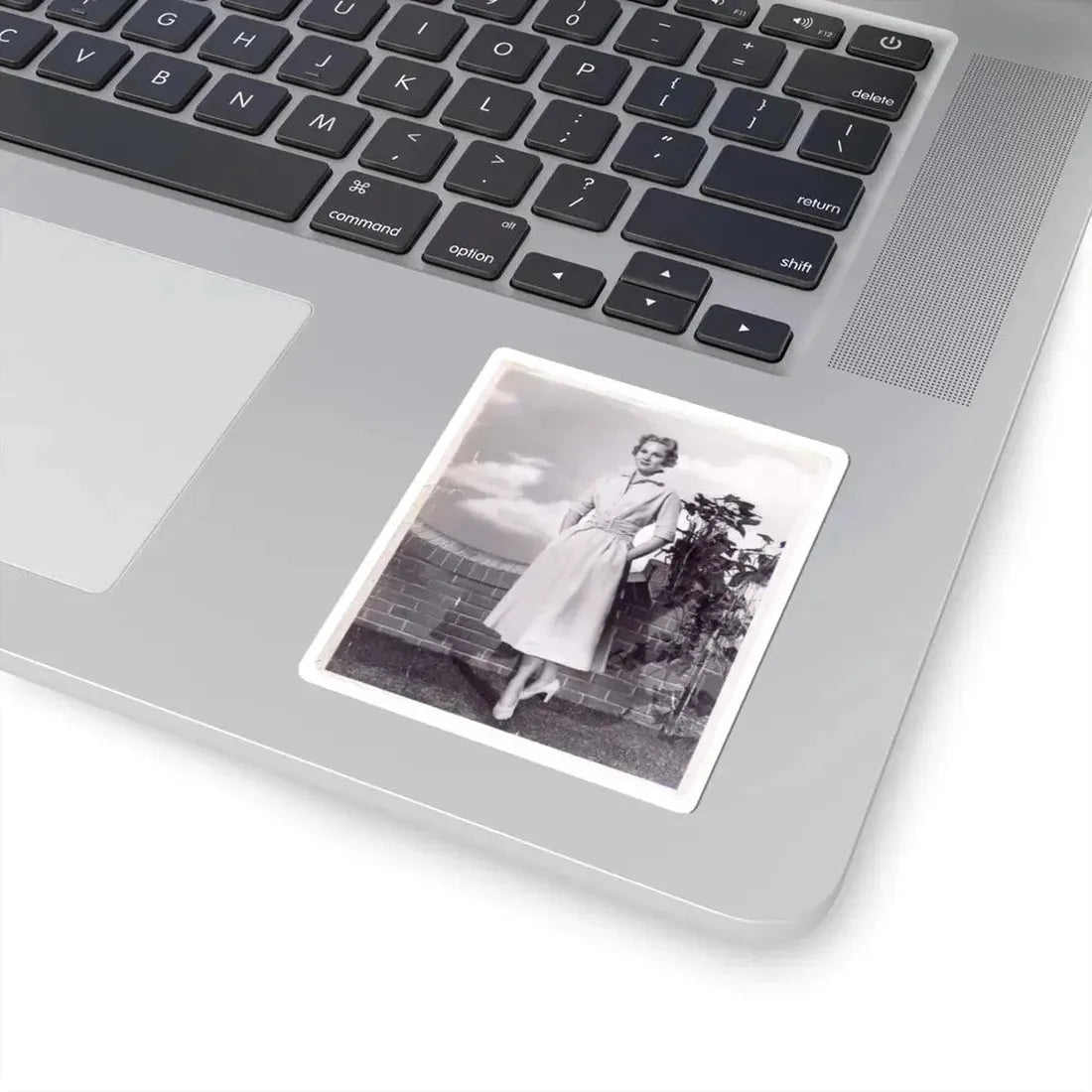 Virginia Mayo #66 (Vintage Female Icon) STICKER Vinyl Kiss-Cut Decal - The Sticker Space