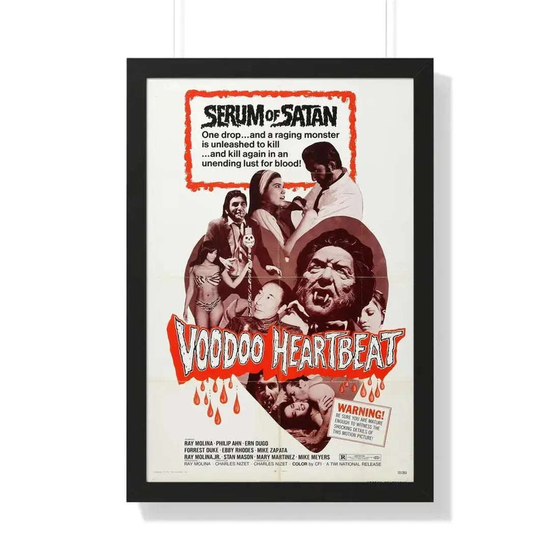 VOODOO HEARTBEAT 1973 - Framed Movie Poster 20" x 30" Black - The Sticker Space