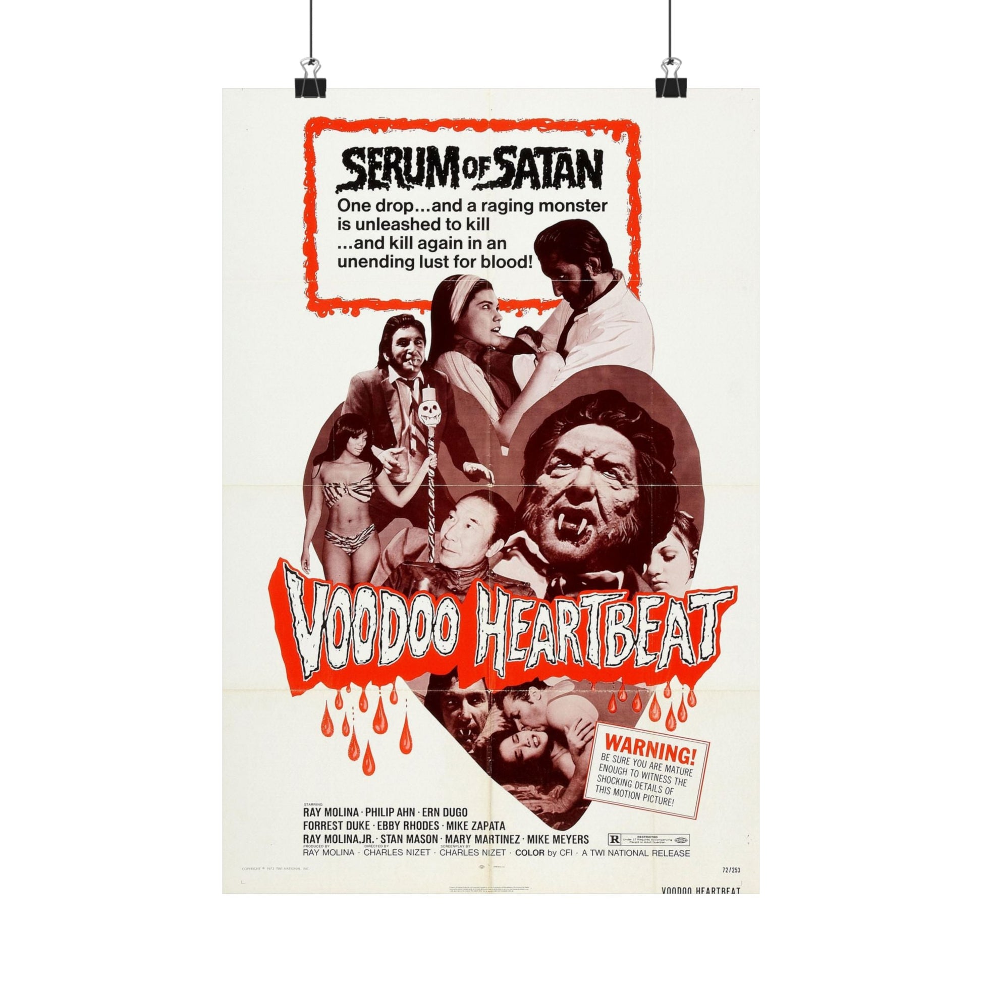 VOODOO HEARTBEAT 1973 - Paper Movie Poster-12″ x 18″-The Sticker Space