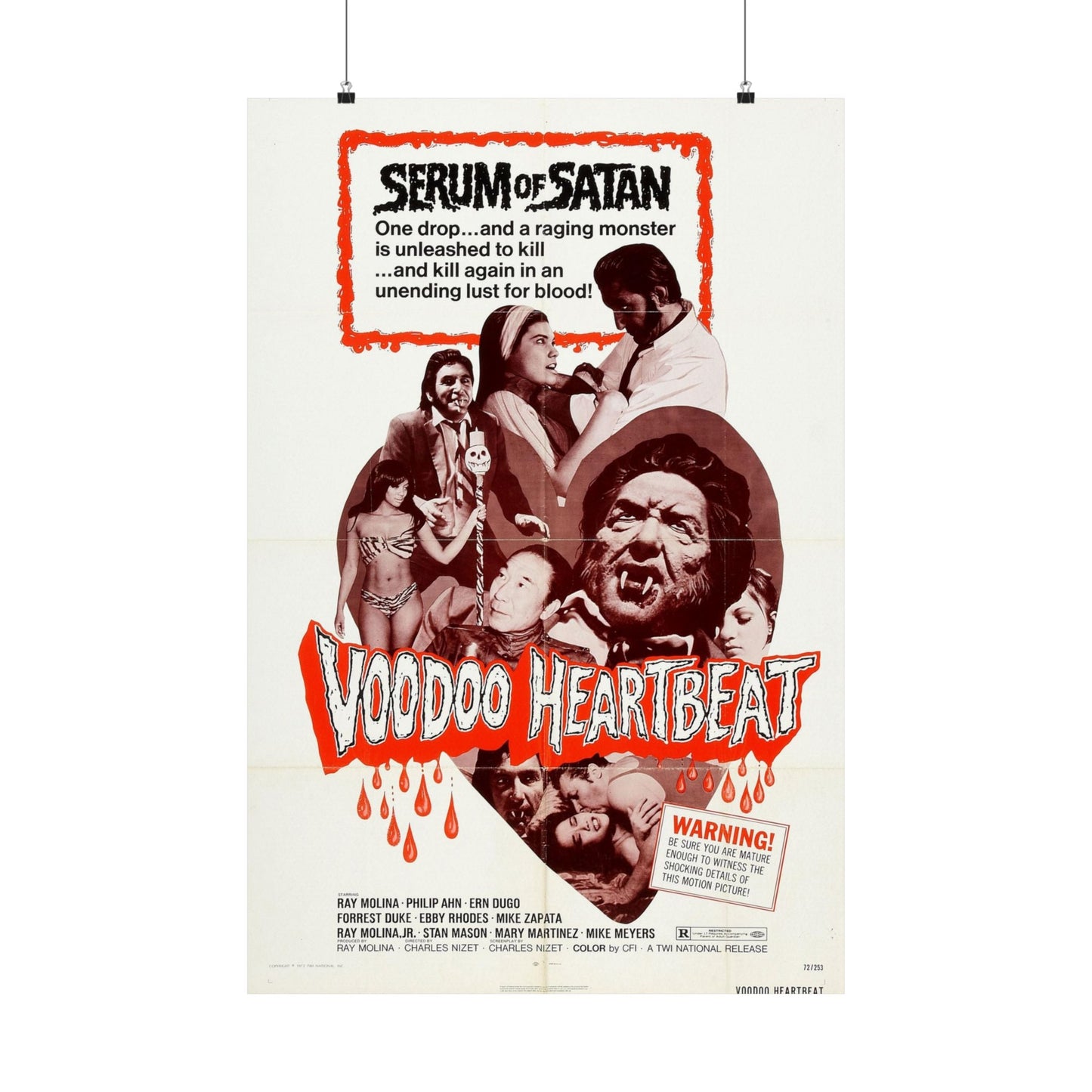 VOODOO HEARTBEAT 1973 - Paper Movie Poster-24″ x 36″-The Sticker Space