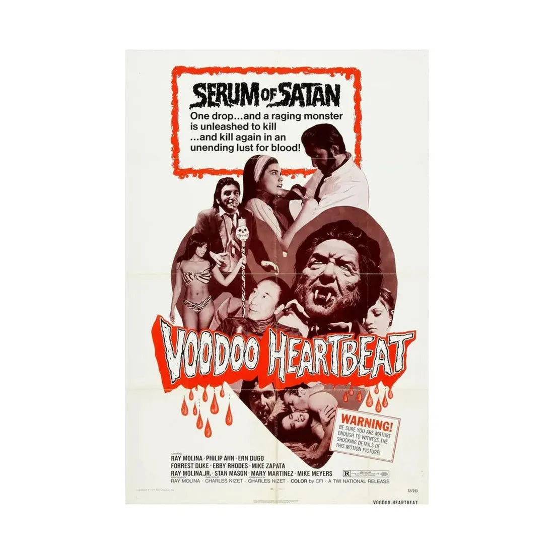 VOODOO HEARTBEAT 1973 - Paper Movie Poster - The Sticker Space