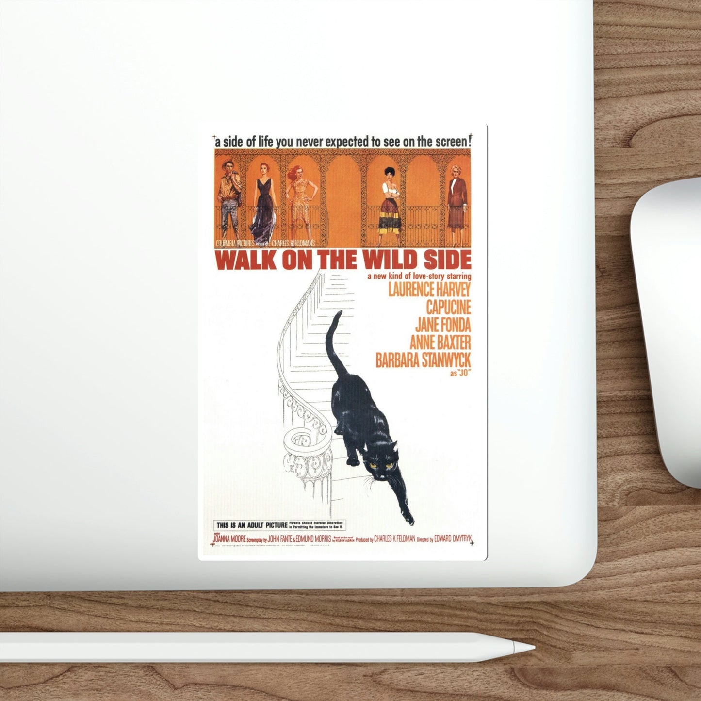 Walk on the Wild Side 1962 Movie Poster STICKER Vinyl Die-Cut Decal-The Sticker Space