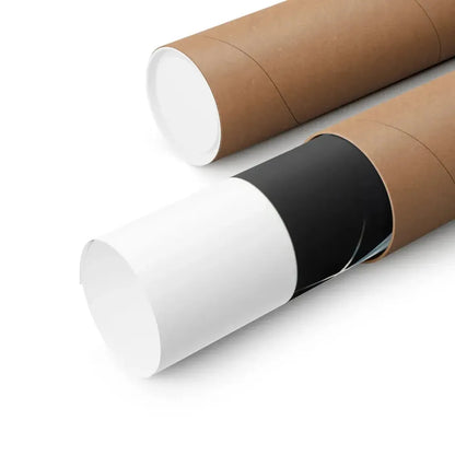 WARRIOR OF THE LOST WORLD 1983 - Paper Movie Poster - The Sticker Space