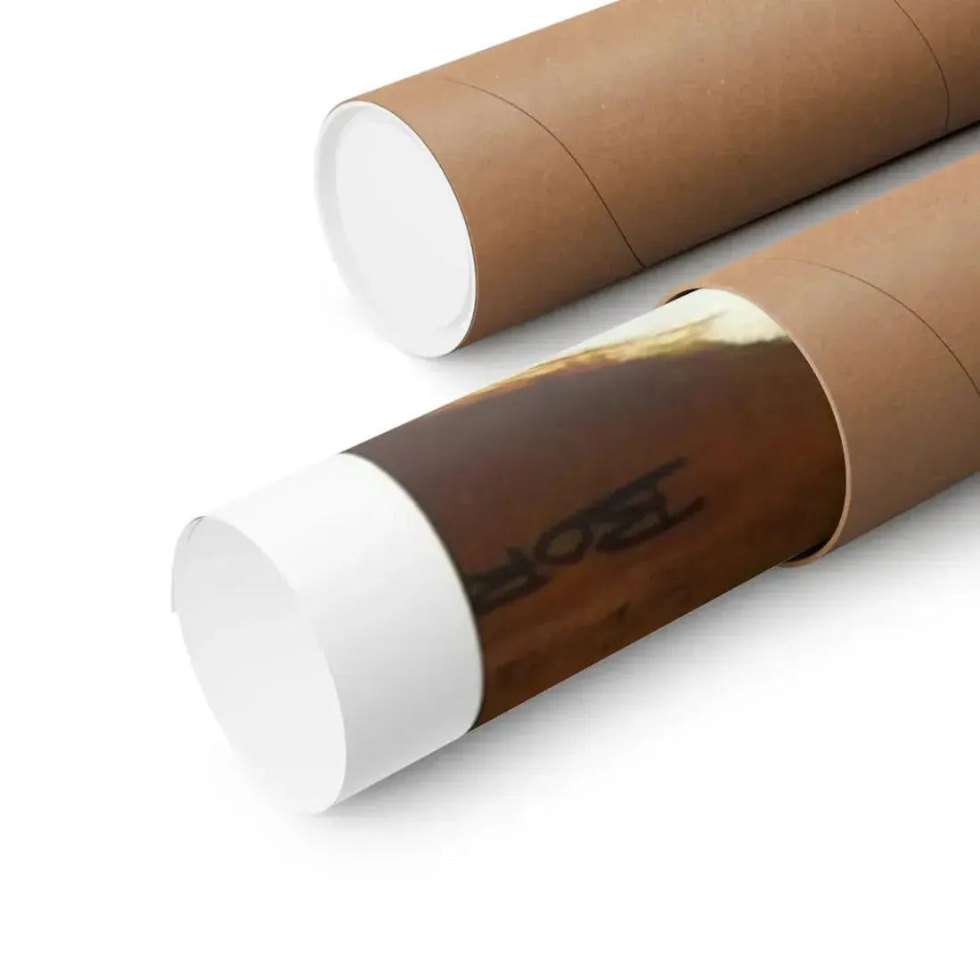 WARRIOR QUEEN 1987 - Paper Movie Poster - The Sticker Space