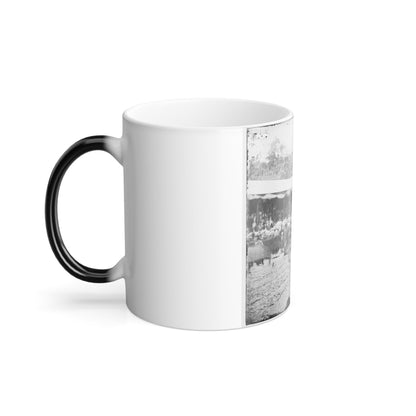 Washington, D.C. Crowd in Front of Presidential Reviewing Stand (U.S. Civil War) Color Morphing Mug 11oz-11oz-The Sticker Space