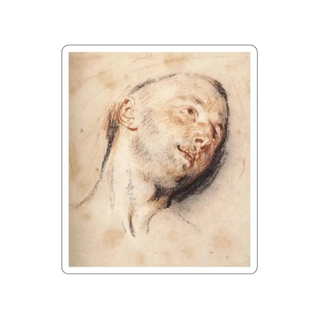 WATTEAU, Jean-Antoine - Head of a Man (Artwork) STICKER Vinyl Die-Cut Decal - The Sticker Space