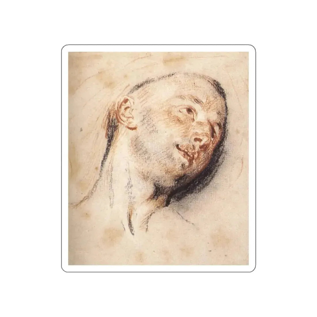 WATTEAU, Jean-Antoine - Head of a Man (Artwork) STICKER Vinyl Die-Cut Decal - The Sticker Space