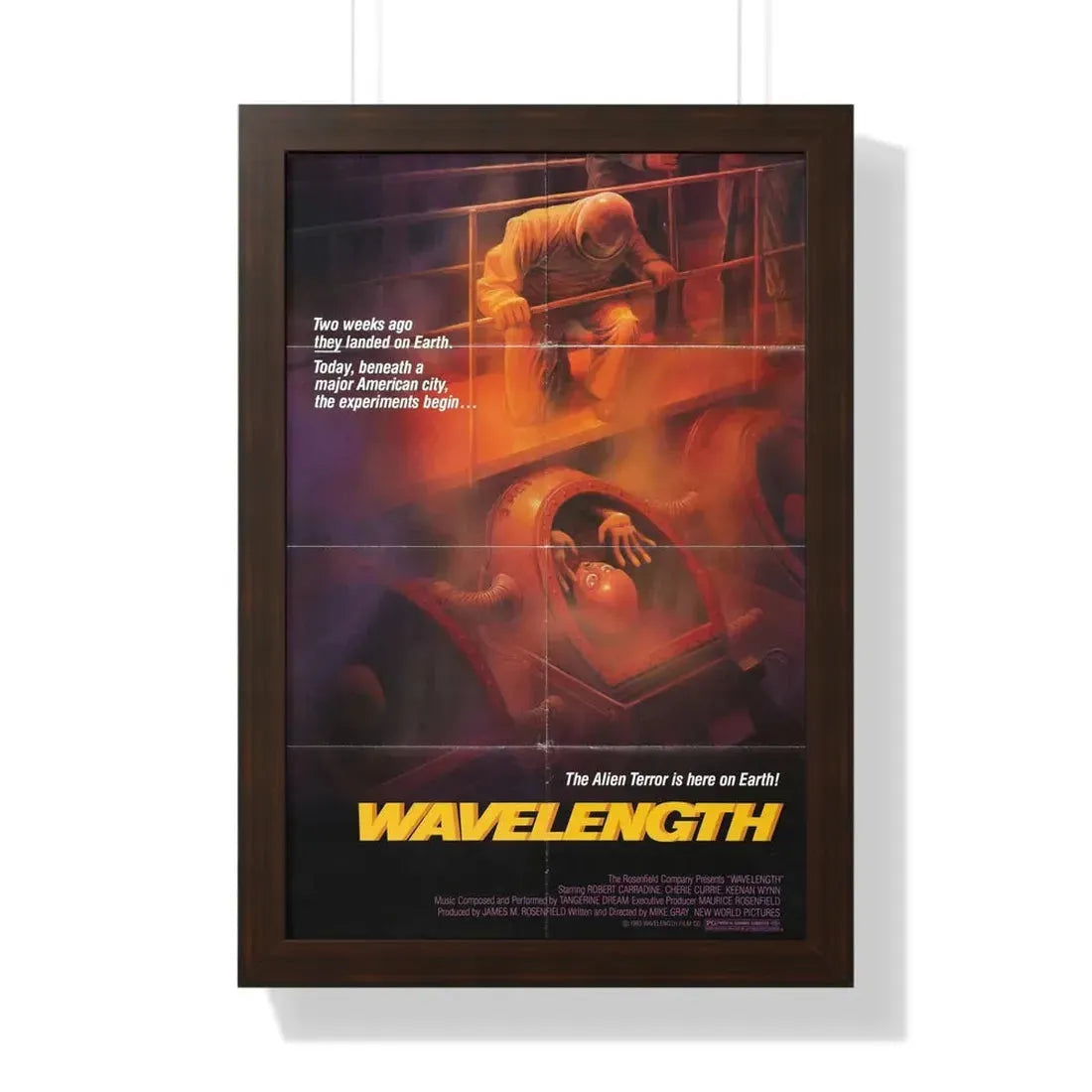 WAVELENGTH 1983 - Framed Movie Poster 16″ x 24″ Walnut - The Sticker Space