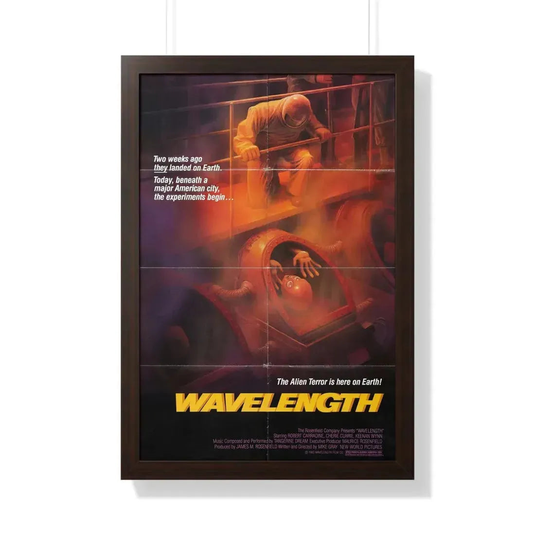 WAVELENGTH 1983 - Framed Movie Poster 20" x 30" Walnut - The Sticker Space