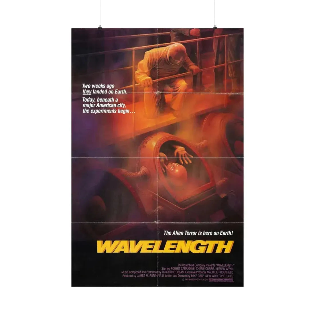 WAVELENGTH 1983 - Paper Movie Poster 36" x 54" Matte - The Sticker Space