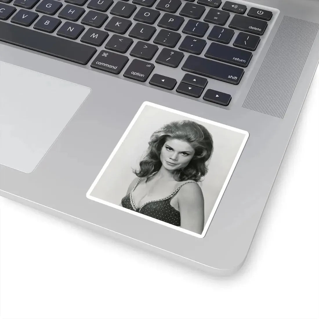 Wende Wagner #17 (Vintage Female Icon) STICKER Vinyl Kiss-Cut Decal - The Sticker Space