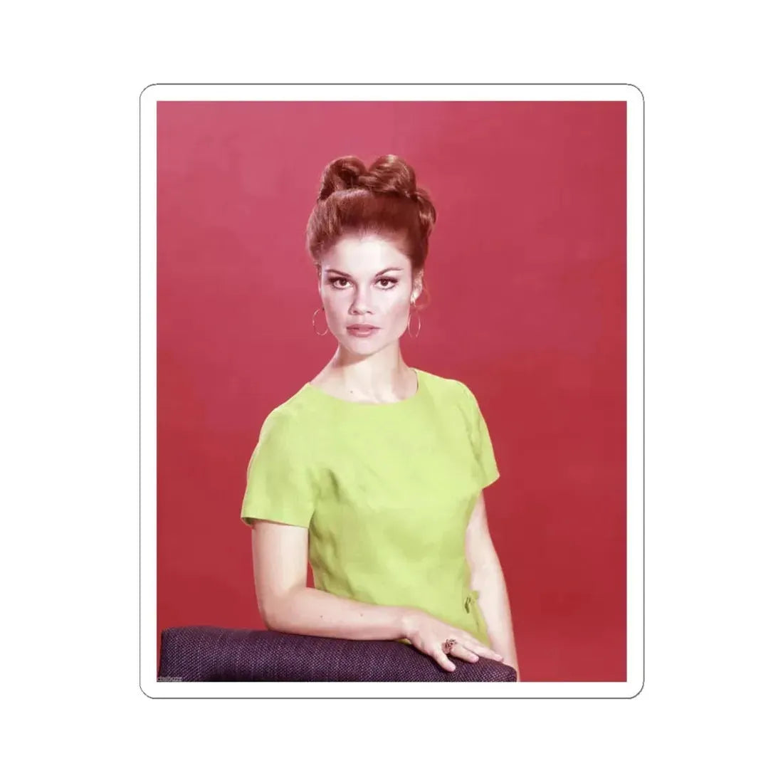 Wende Wagner #21 (Vintage Female Icon) STICKER Vinyl Kiss-Cut Decal 4 Inch White - The Sticker Space