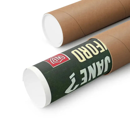 WHAT EVER HAPPENED TO BABY JANE (BELGIAN) 1962 - Paper Movie Poster - The Sticker Space