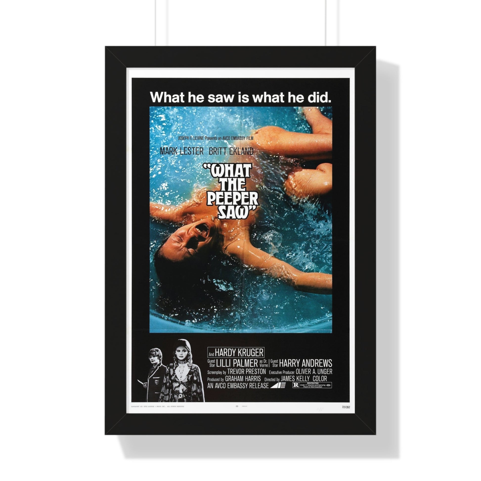 WHAT THE PEEPER SAW 1972 - Framed Movie Poster-16″ x 24″-The Sticker Space