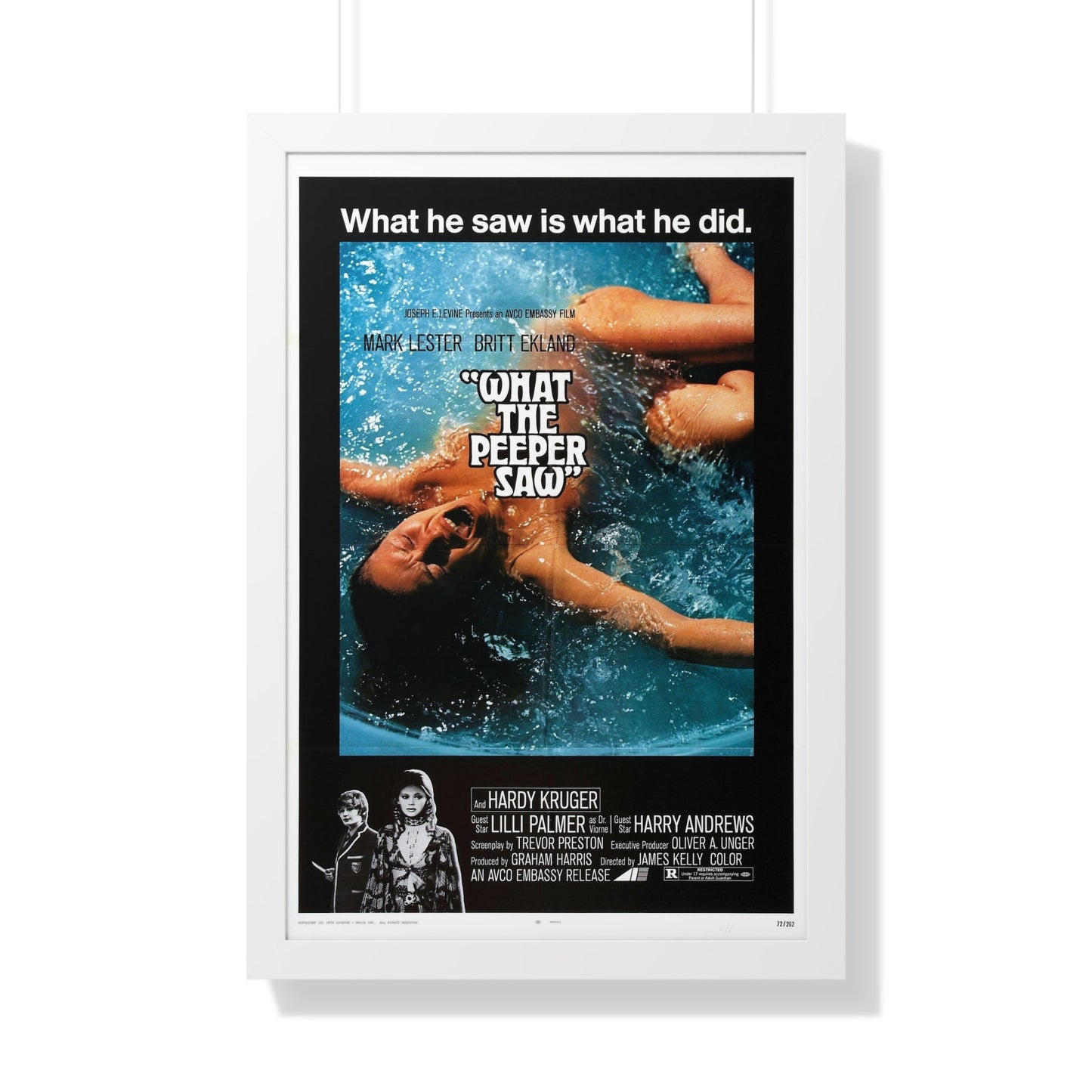 WHAT THE PEEPER SAW 1972 - Framed Movie Poster-20" x 30"-The Sticker Space