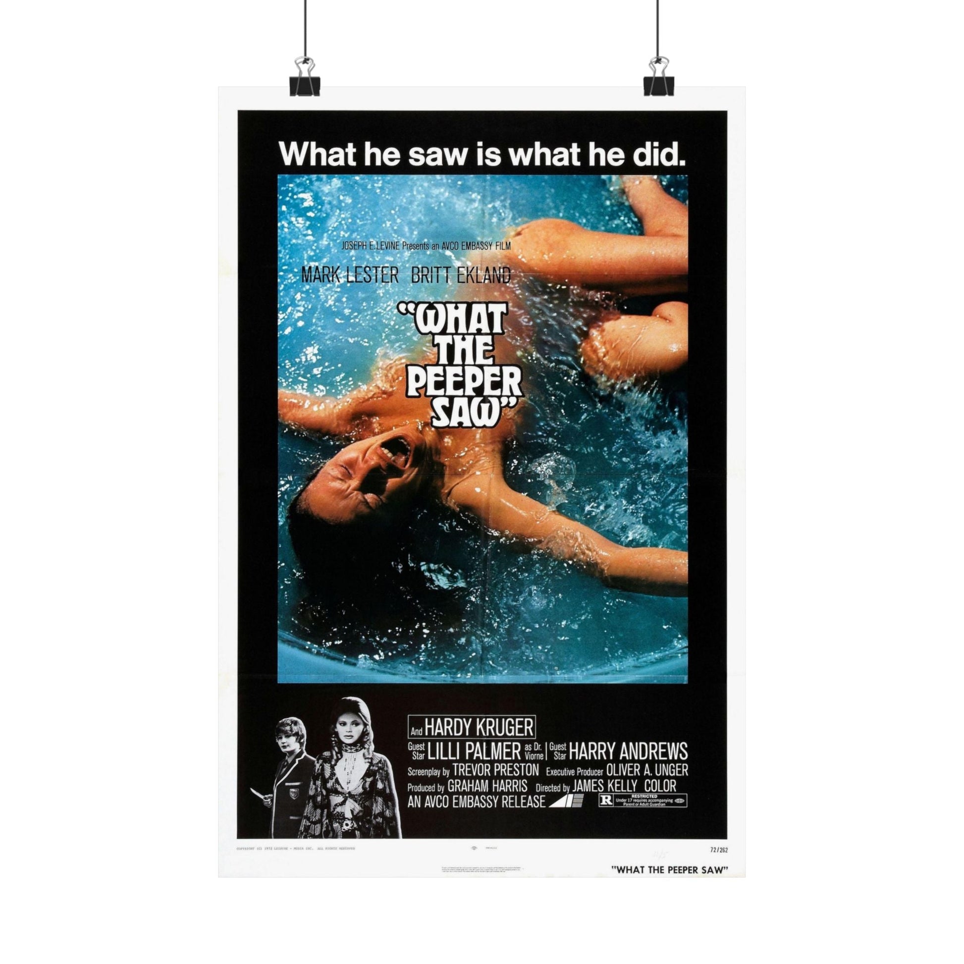 WHAT THE PEEPER SAW 1972 - Paper Movie Poster-12″ x 18″-The Sticker Space