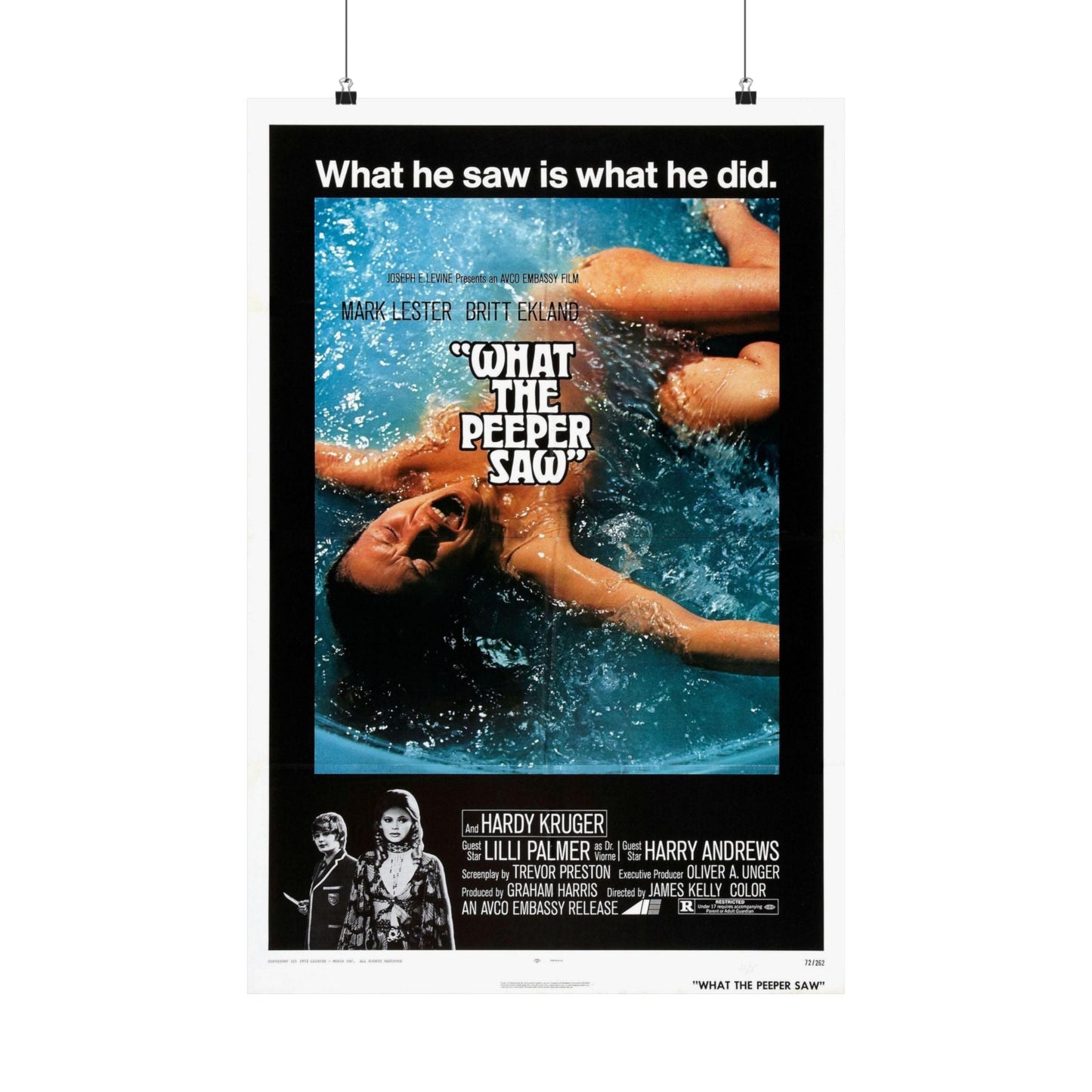 WHAT THE PEEPER SAW 1972 - Paper Movie Poster-20″ x 30″-The Sticker Space