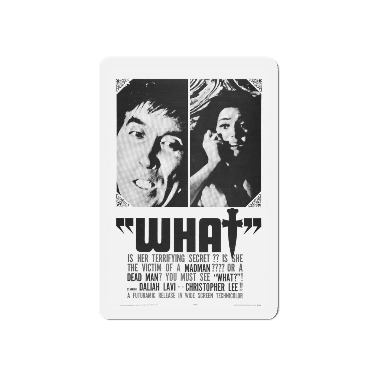 WHAT (THE WHIP AND THE BODY) 1963 Movie Poster - Refrigerator Magnet-6 × 6"-The Sticker Space