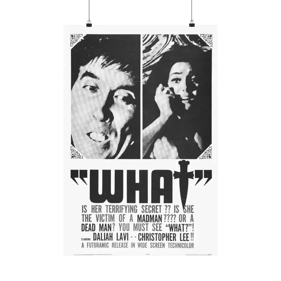 WHAT (THE WHIP AND THE BODY) 1963 - Paper Movie Poster 20″ x 30″ Matte - The Sticker Space