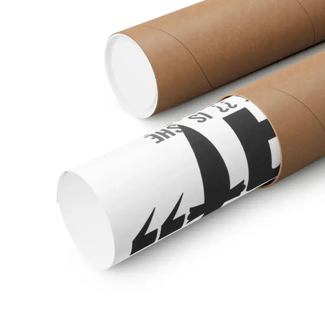 WHAT (THE WHIP AND THE BODY) 1963 - Paper Movie Poster - The Sticker Space