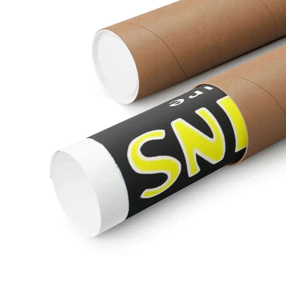 WHEN A WOMAN SINS 1918 - Paper Movie Poster - The Sticker Space