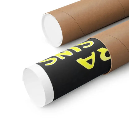 WHEN A WOMAN SINS 1918 - Paper Movie Poster - The Sticker Space