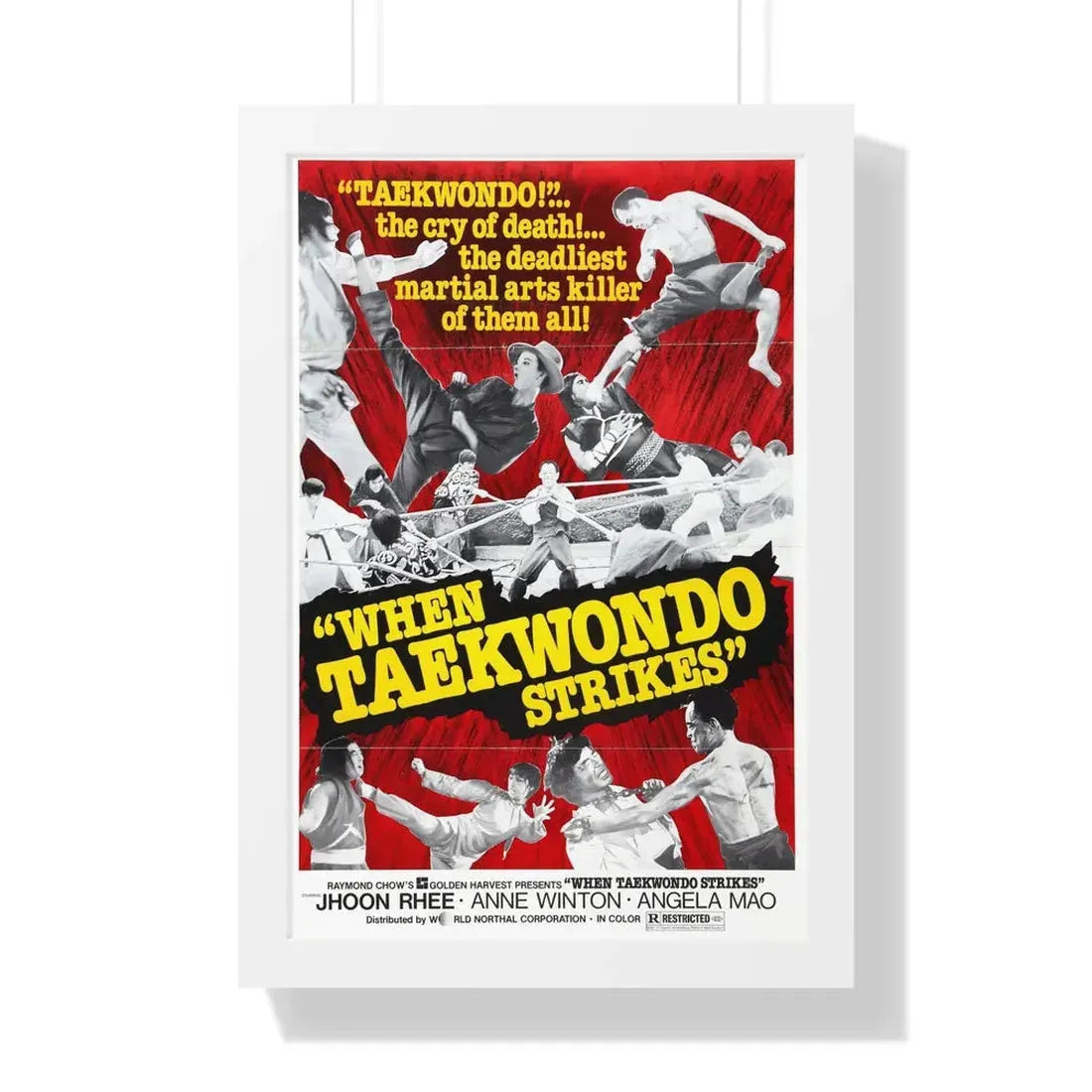 WHEN TAEKWONDO STRIKES 1973 - Framed Movie Poster 16″ x 24″ White - The Sticker Space