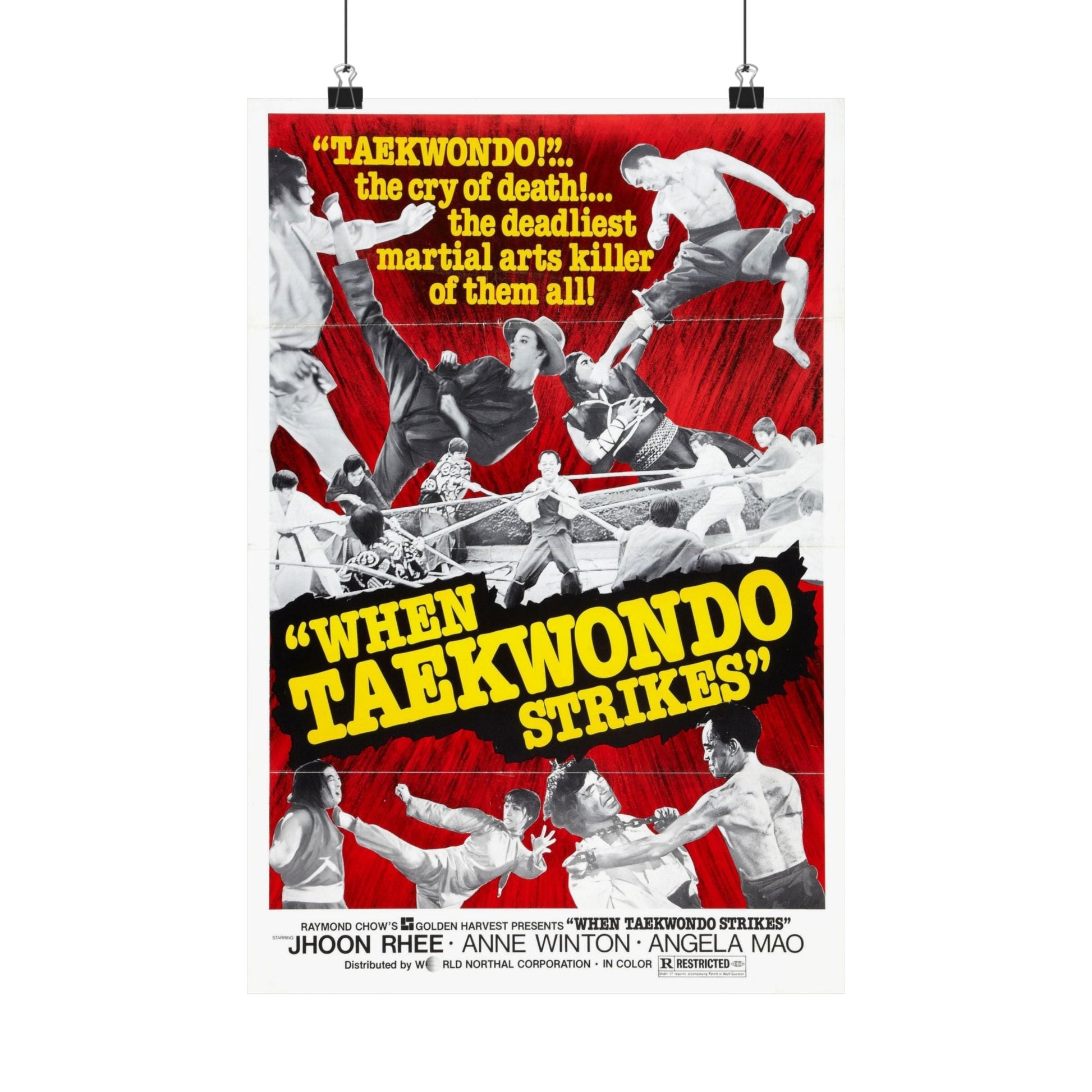 WHEN TAEKWONDO STRIKES 1973 - Paper Movie Poster-12″ x 18″-The Sticker Space