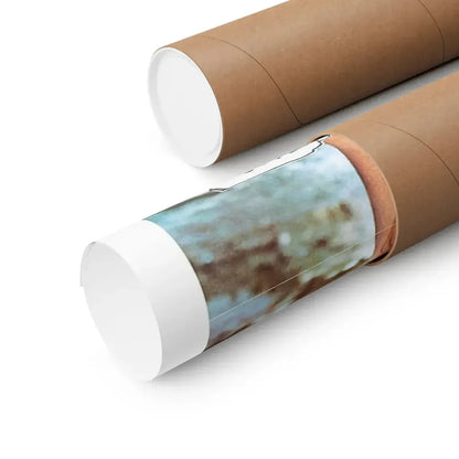 WHEN WOMEN HAD TAILS (2) 1970 - Paper Movie Poster - The Sticker Space