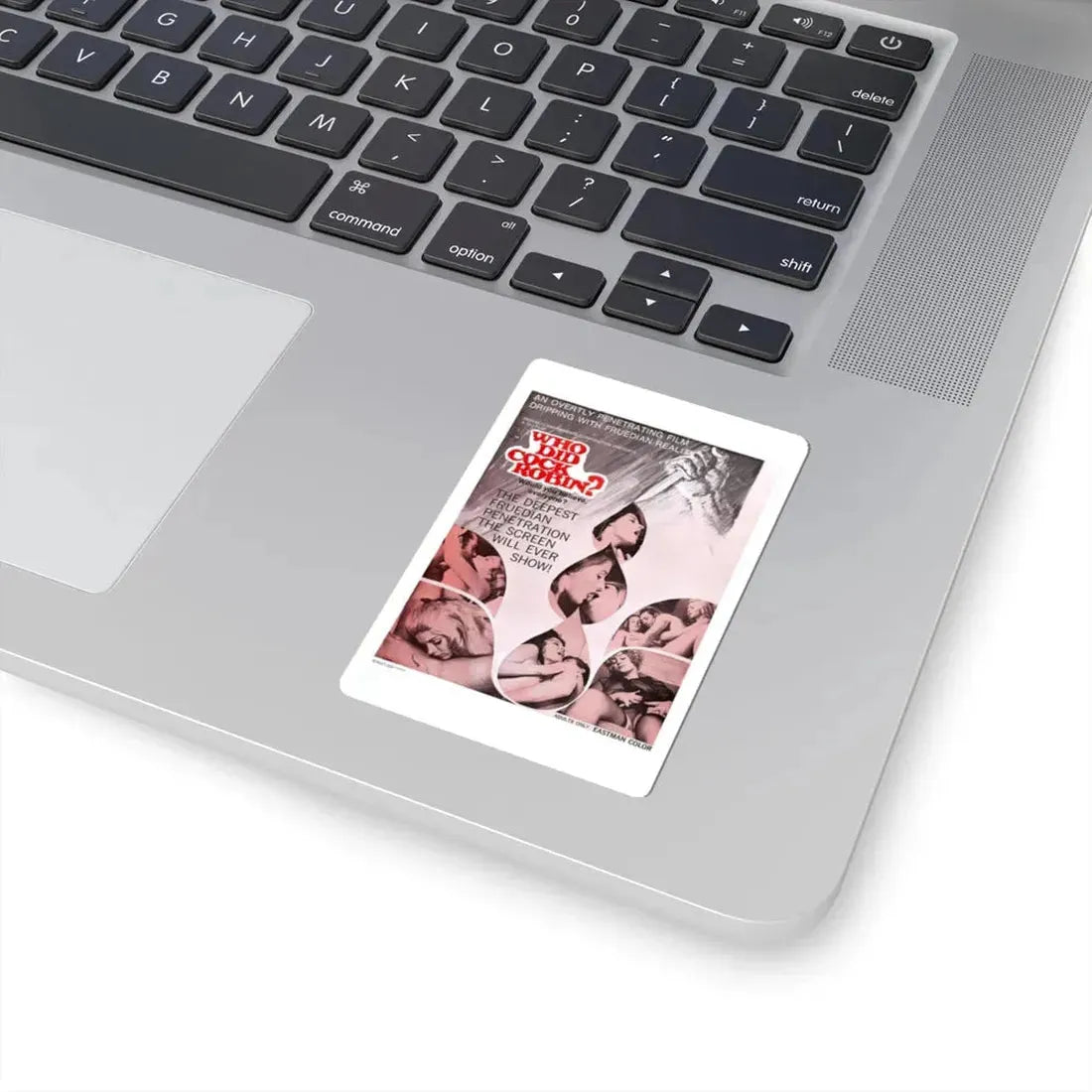 WHO DID COCK ROBIN 1970 Movie Poster - STICKER Vinyl Kiss-Cut Decal - The Sticker Space