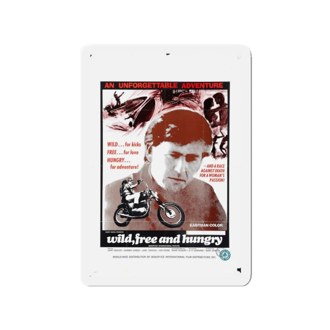 WILD FREE AND HUNGRY 1969 Movie Poster - Refrigerator Magnet 3 Inch - The Sticker Space