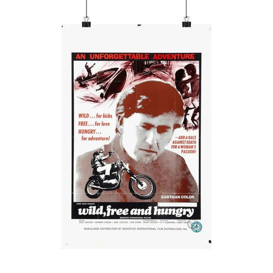WILD FREE AND HUNGRY 1969 - Paper Movie Poster 12″ x 18″ Matte - The Sticker Space