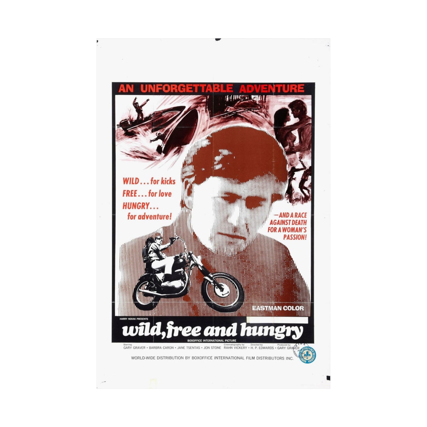 WILD FREE AND HUNGRY 1969 - Paper Movie Poster-The Sticker Space