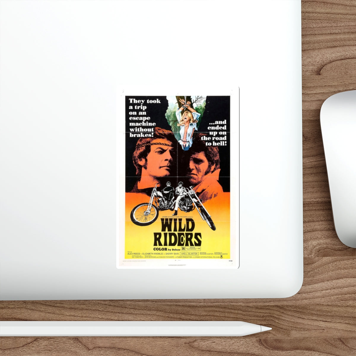 WILD RIDERS 1971 Movie Poster STICKER Vinyl Die-Cut Decal-The Sticker Space