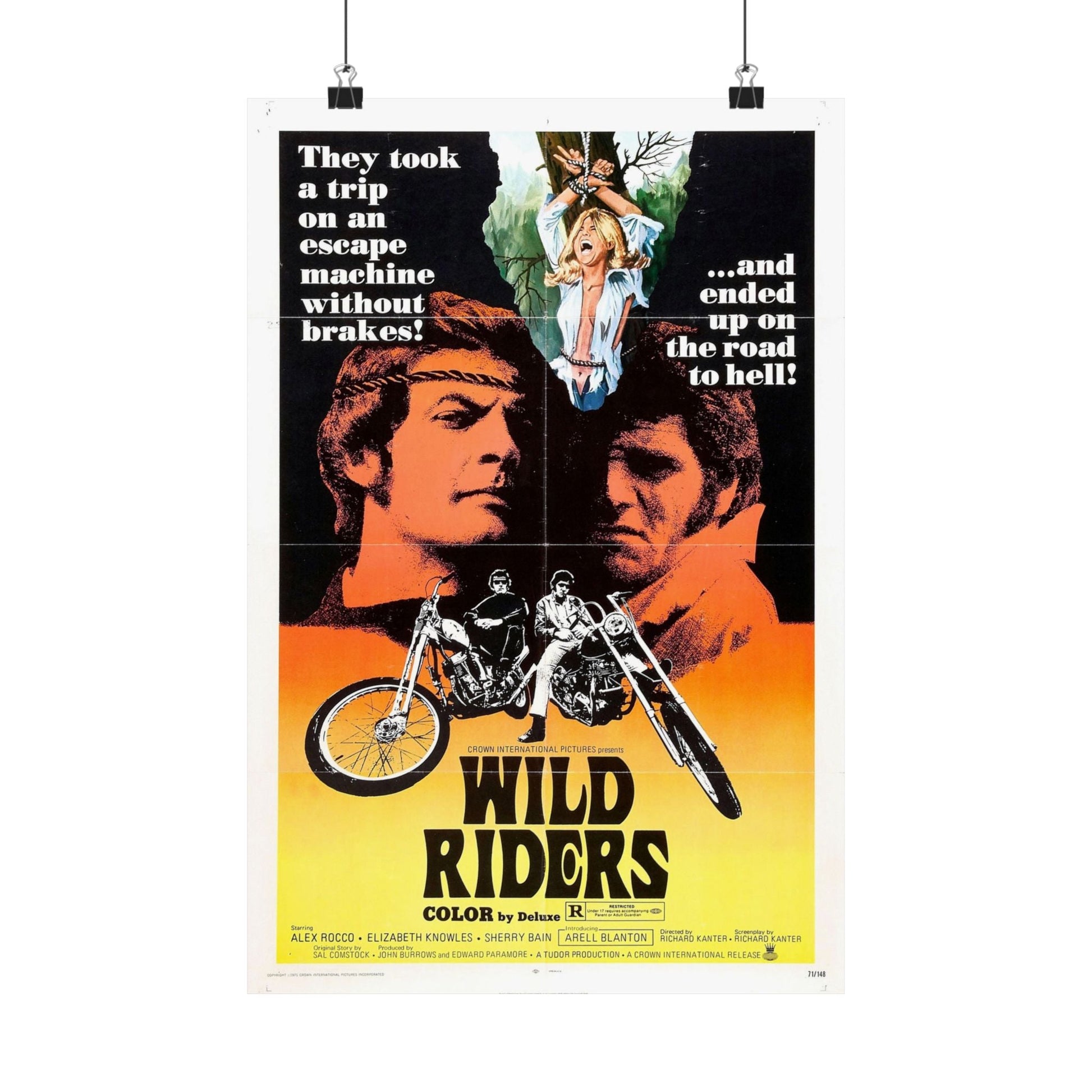 WILD RIDERS 1971 - Paper Movie Poster-12″ x 18″-The Sticker Space