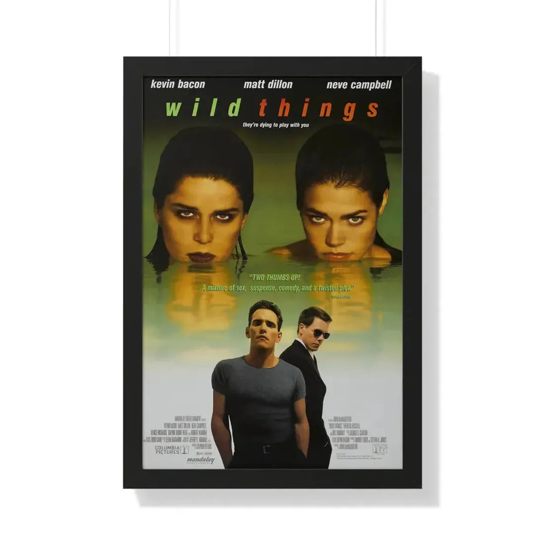 WILD THINGS 1998 - Framed Movie Poster 20" x 30" Black - The Sticker Space